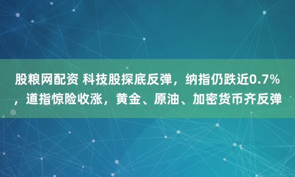 股粮网配资 科技股探底反弹，纳指仍跌近0.7%，道指惊险收涨，黄金、原油、加密货币齐反弹