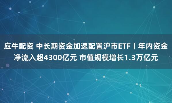 应牛配资 中长期资金加速配置沪市ETF丨年内资金净流入超4300亿元 市值规模增长1.3万亿元